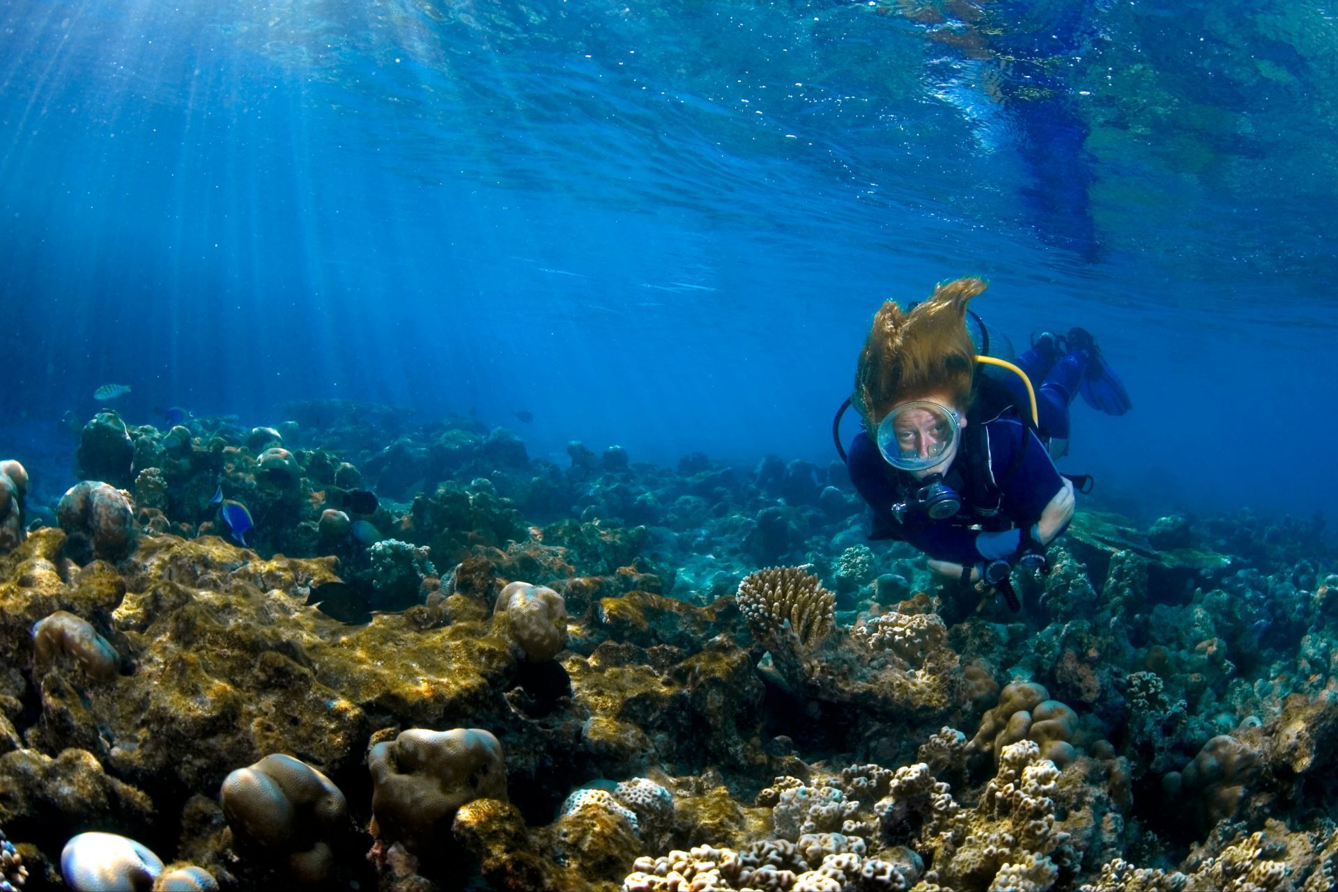 scuba