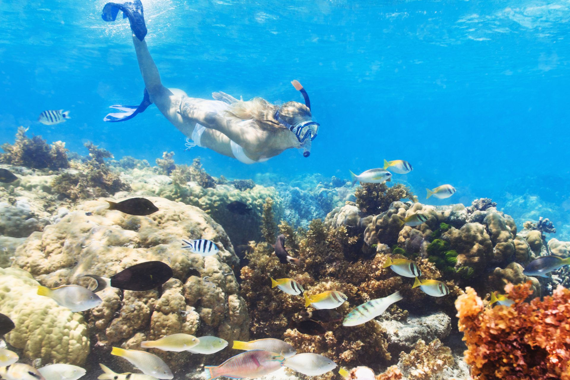 snorkeling